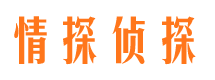 惠济市调查公司